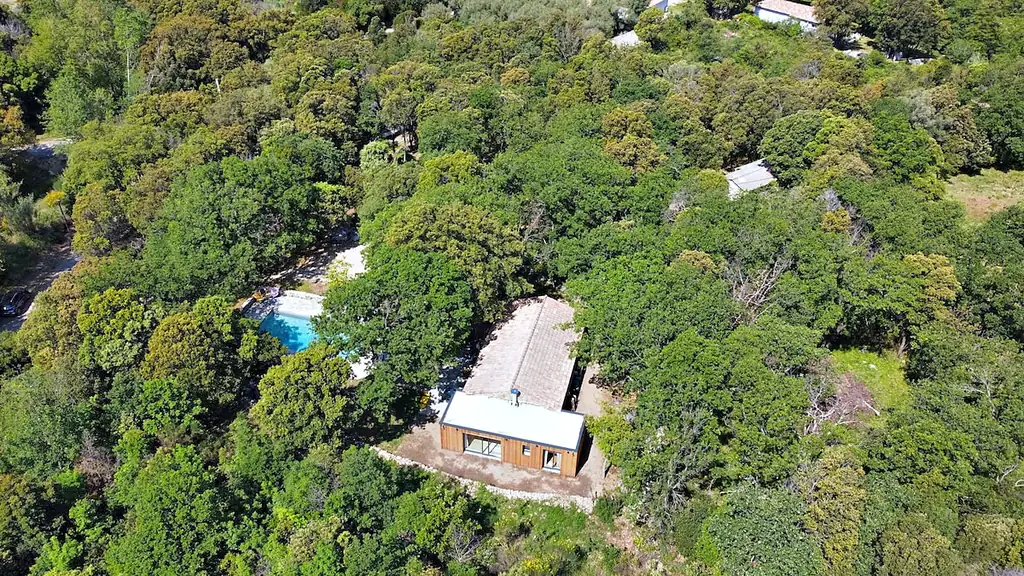Vue aérienne de la villa Baraccò Argia, seule dans un bois de chênes verts au-dessus des vignes de Patrimonio, à Barbaggio en Haute-Corse